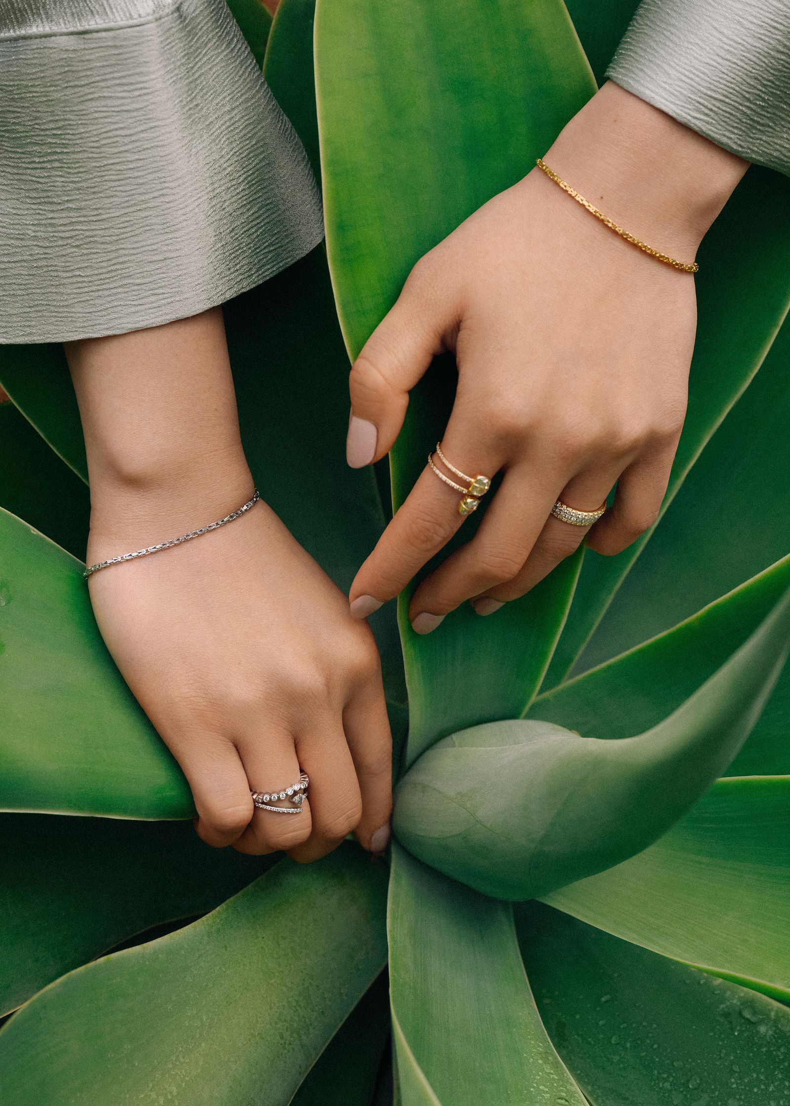 two hands holding rings on a green plant