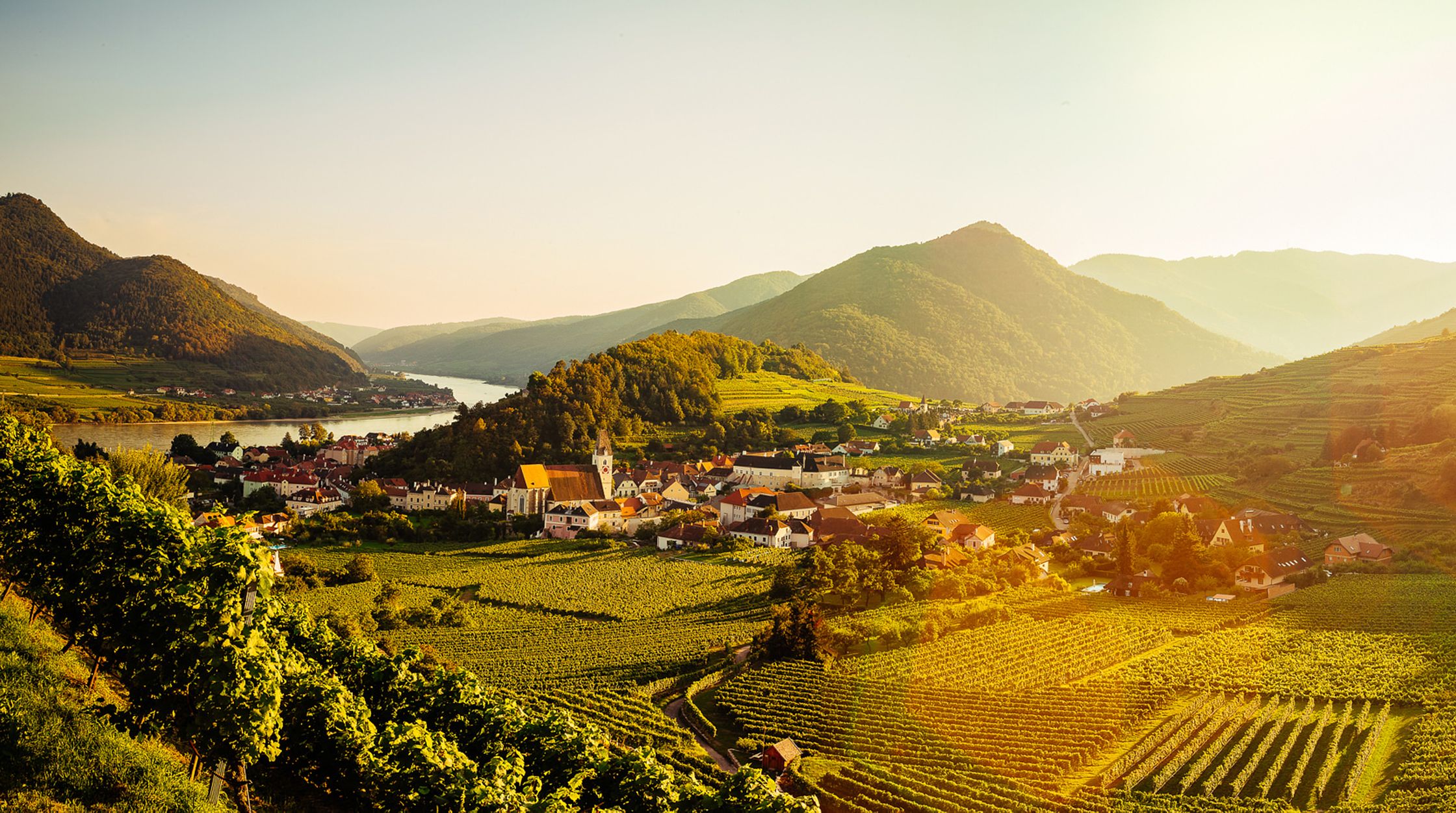 Sonnenuntergang in Spitz an der Donau - Sommerstimmung