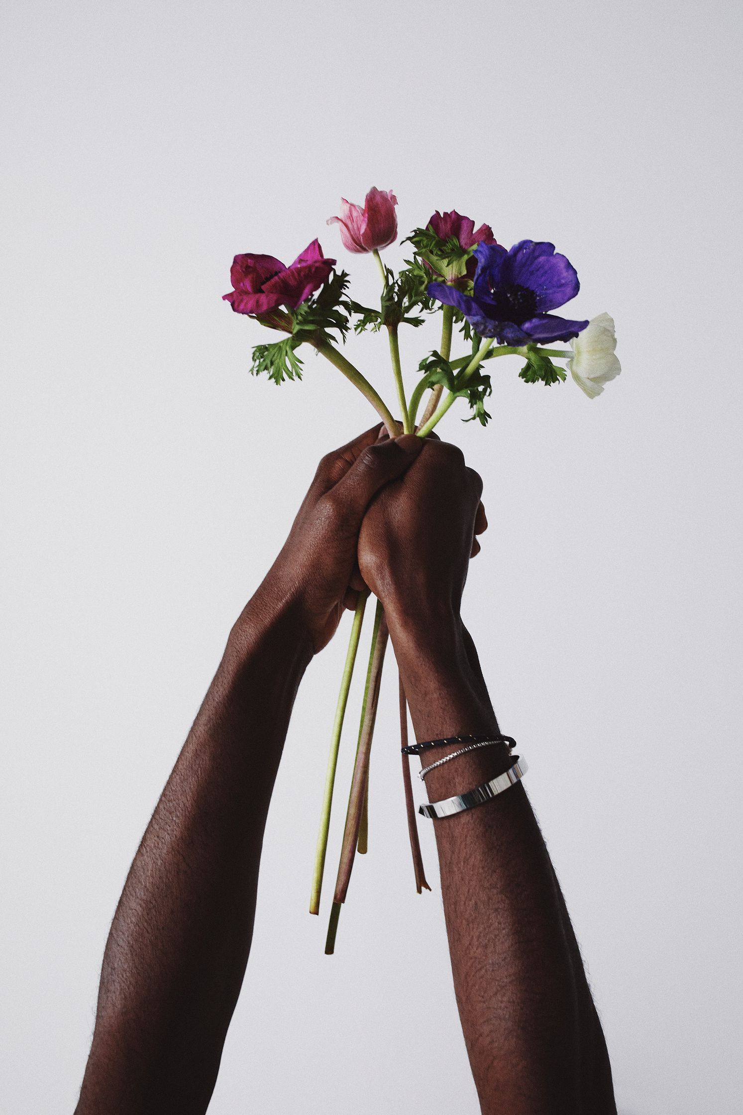 a hand holding a bouquet of flowers on a white background