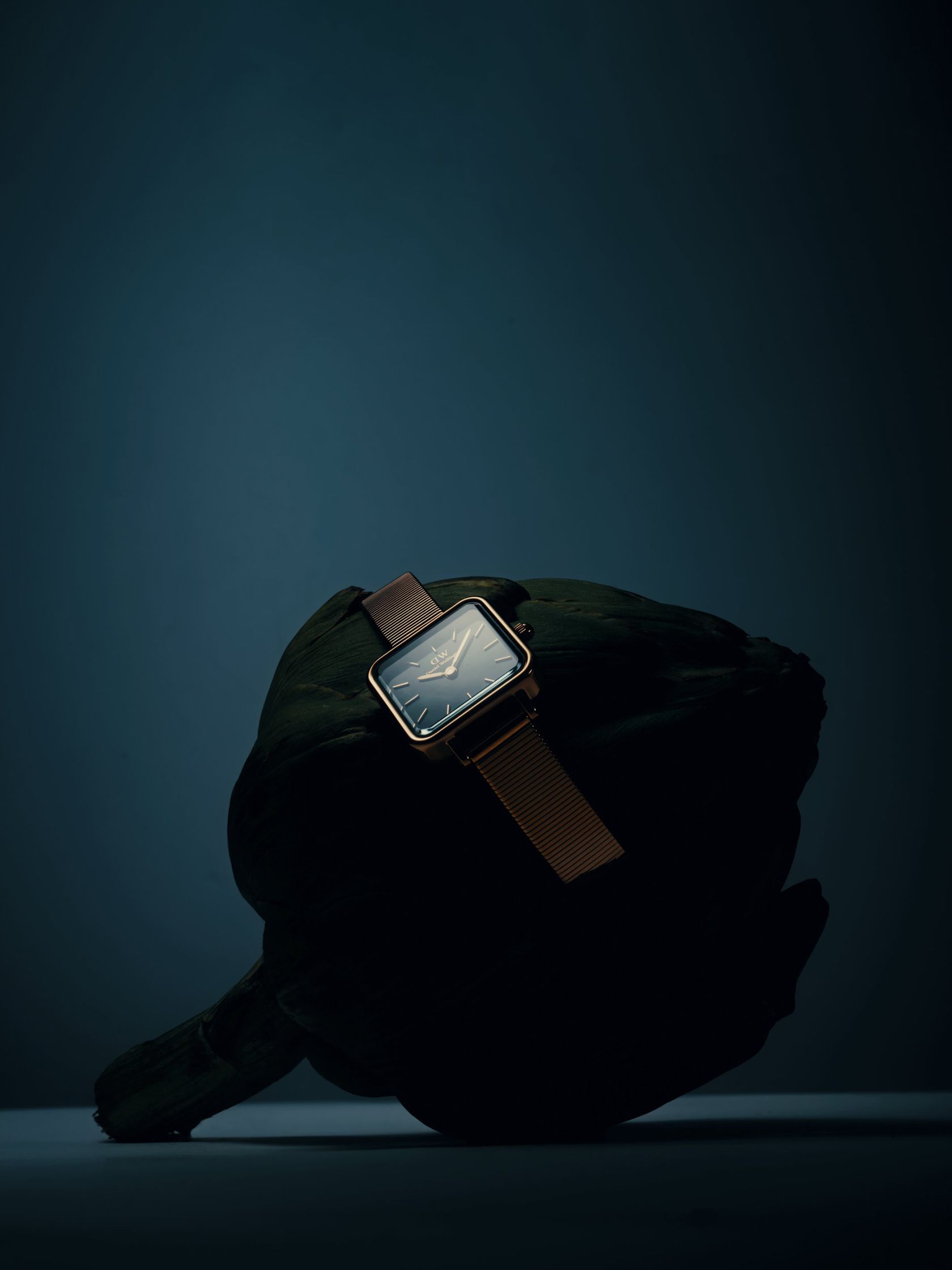 Luxury watch displayed on a dark artichoke, with moody lighting emphasizing the watch as the focal point while the artichoke serves as an unconventional yet intriguing prop.