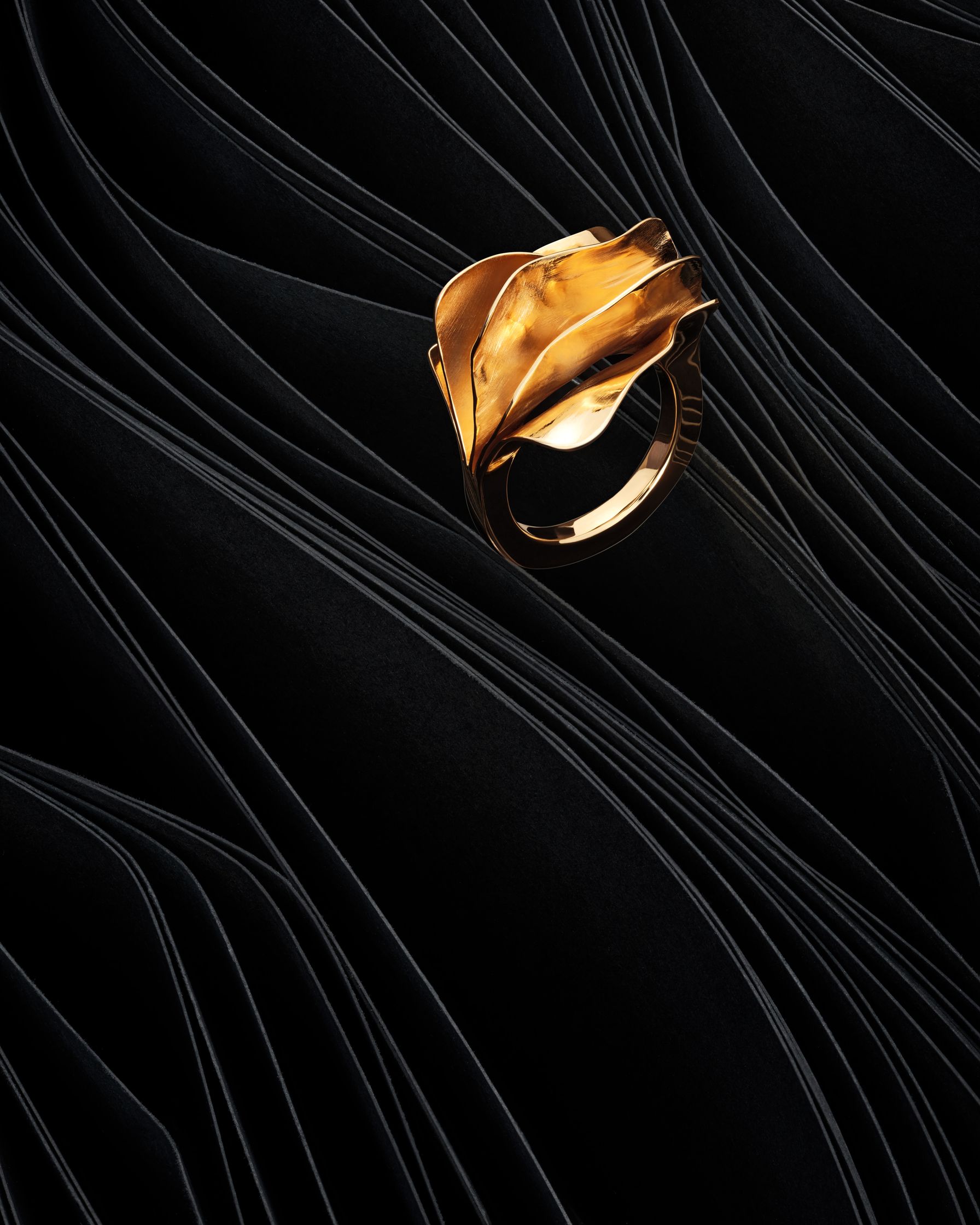 Gold ring by Lisa Motte displayed on black paper waves, mimicking the natural shapes of leaves.